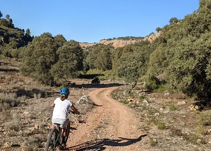 Mas Oms Montnegre