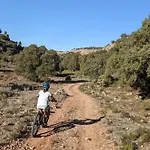 Mas Oms Montnegre